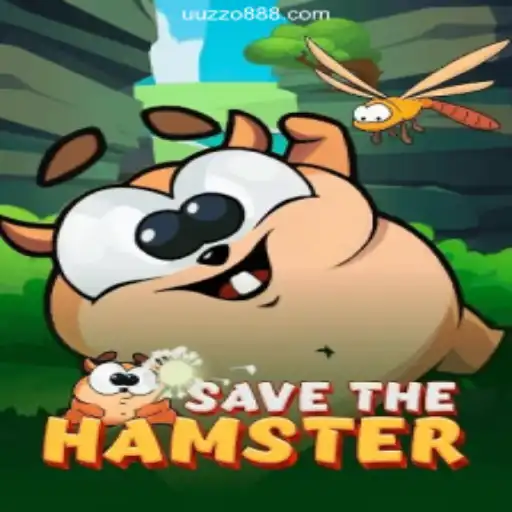 Saving the Hamsters: A Deep Dive into SavetheHamster Gameplay